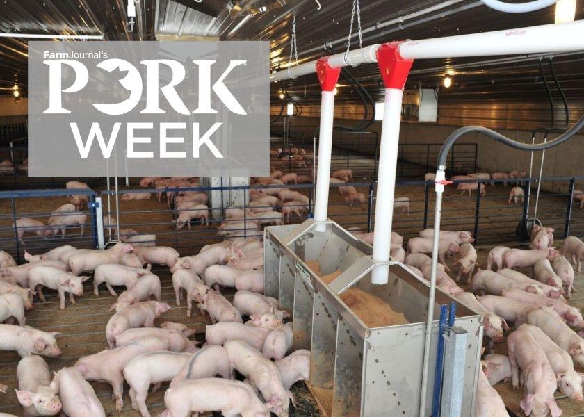 PRRS, PED and Biosecurity What Can Producers Do When Diseases Strike